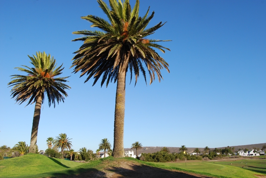 0 Bedroom Property for Sale in Shelley Point Western Cape